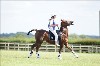 UKPA NC SAT_2598